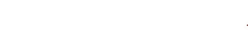 rexflash.gif